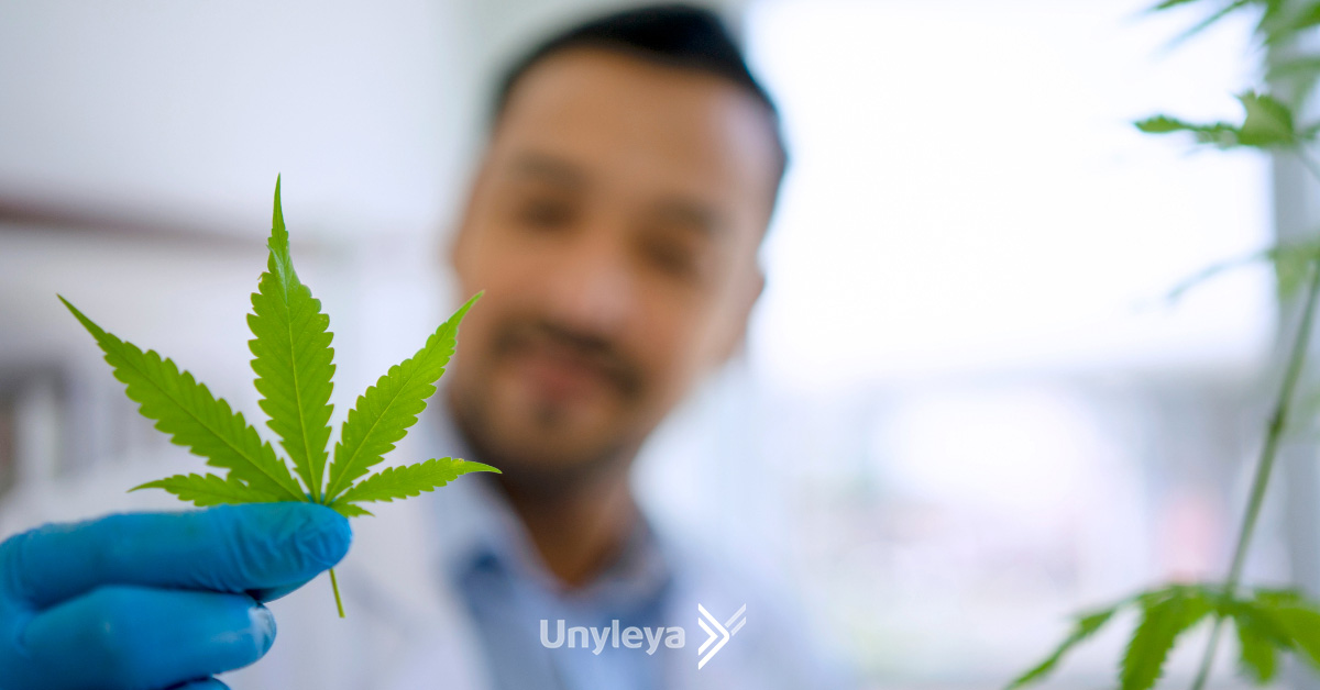 Entenda como funciona a Pós-Graduação em Cannabis Medicinal
