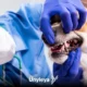 Odontologia veterinária: oportunidades, salário e como se profissionalizar