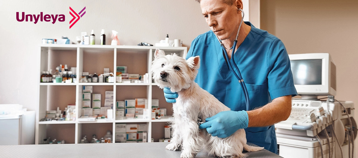 Oncologia Veterinária de Pequenos Animais: tudo o que você precisa saber sobre a especialização