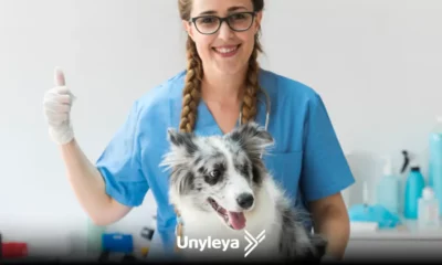 Estudante do curso de veterinária em aula prática com animais.