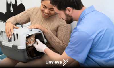 Casal com gatinho fofo em caixa de transporte