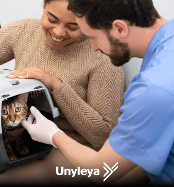 Casal com gatinho fofo em caixa de transporte