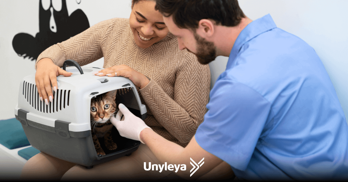 Casal com gatinho fofo em caixa de transporte