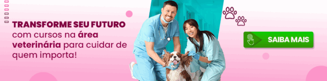 Cuidados paliativos na Medicina Veterinária: o que são e por que se especializar?