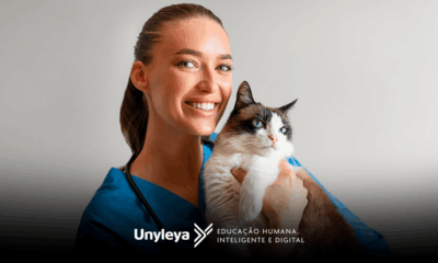 Clínica Médica de Gatos