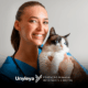 Clínica Médica de Gatos