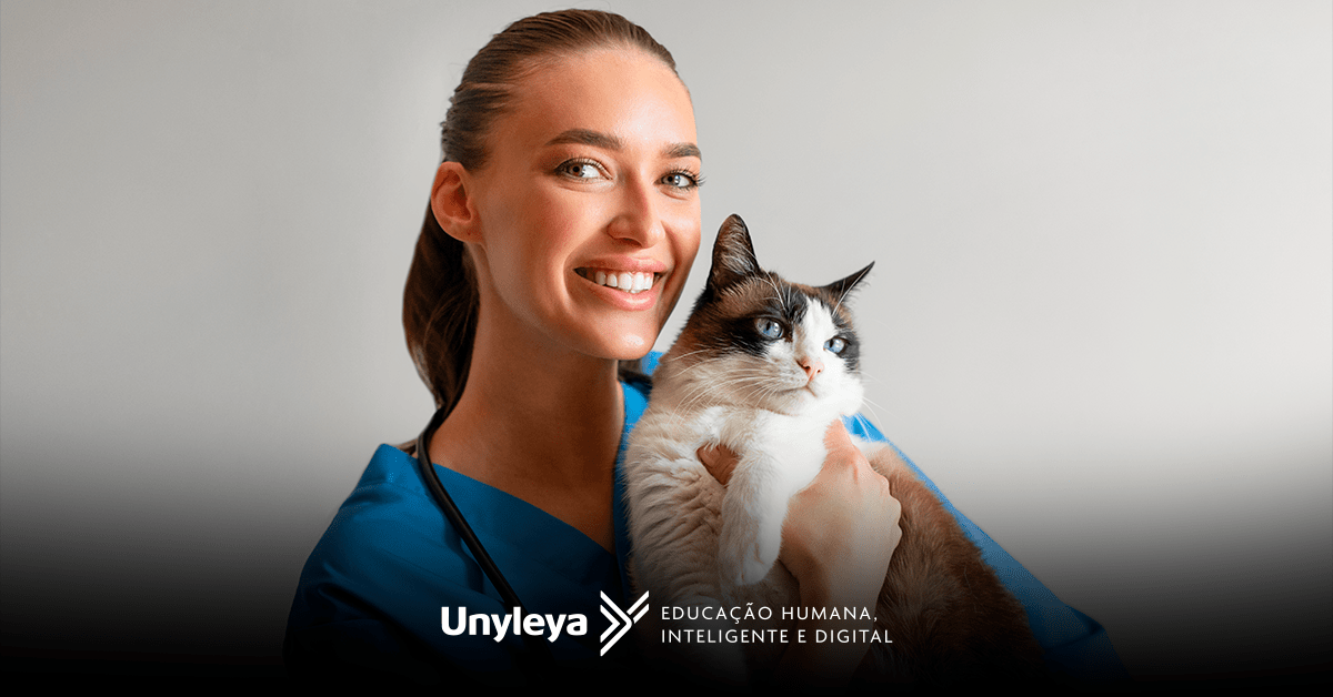 Clínica Médica de Gatos