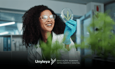 Cannabis Medicinal