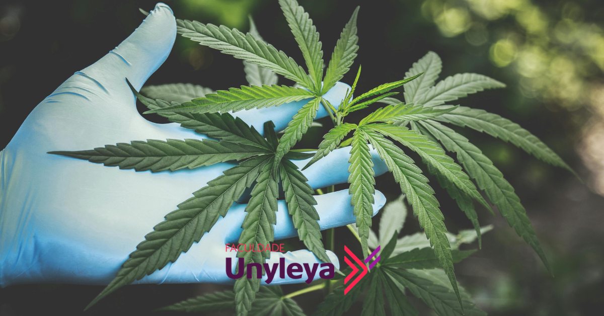 Cannabis Medicinal