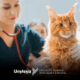 medicia veterinária
