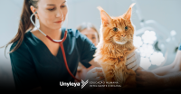 medicia veterinária
