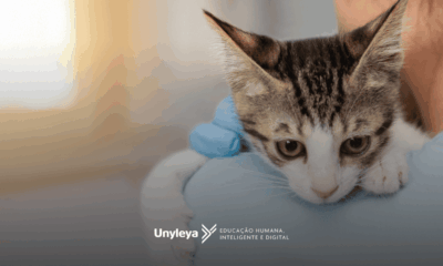 Patologia Clínica veterinária: como se tornar um especialista?