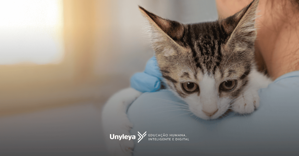 Patologia Clínica veterinária: como se tornar um especialista?