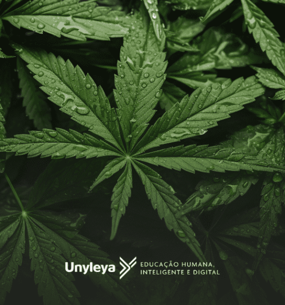 Enfermagem canábica: o que é e pós-graduação