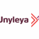 Unyleya: tudo o que você precisa saber sobre