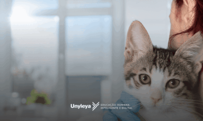 Dermatologista veterinário: quanto ganha e como ser?