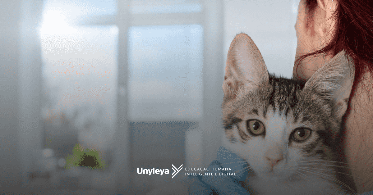 Dermatologista veterinário: quanto ganha e como ser?