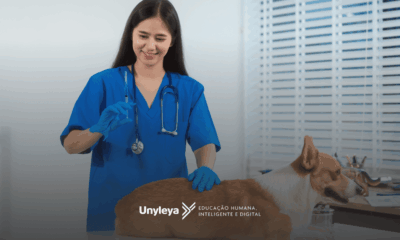 Anestesiologia veterinária: como estudar, o que é, livros e pós-graduação