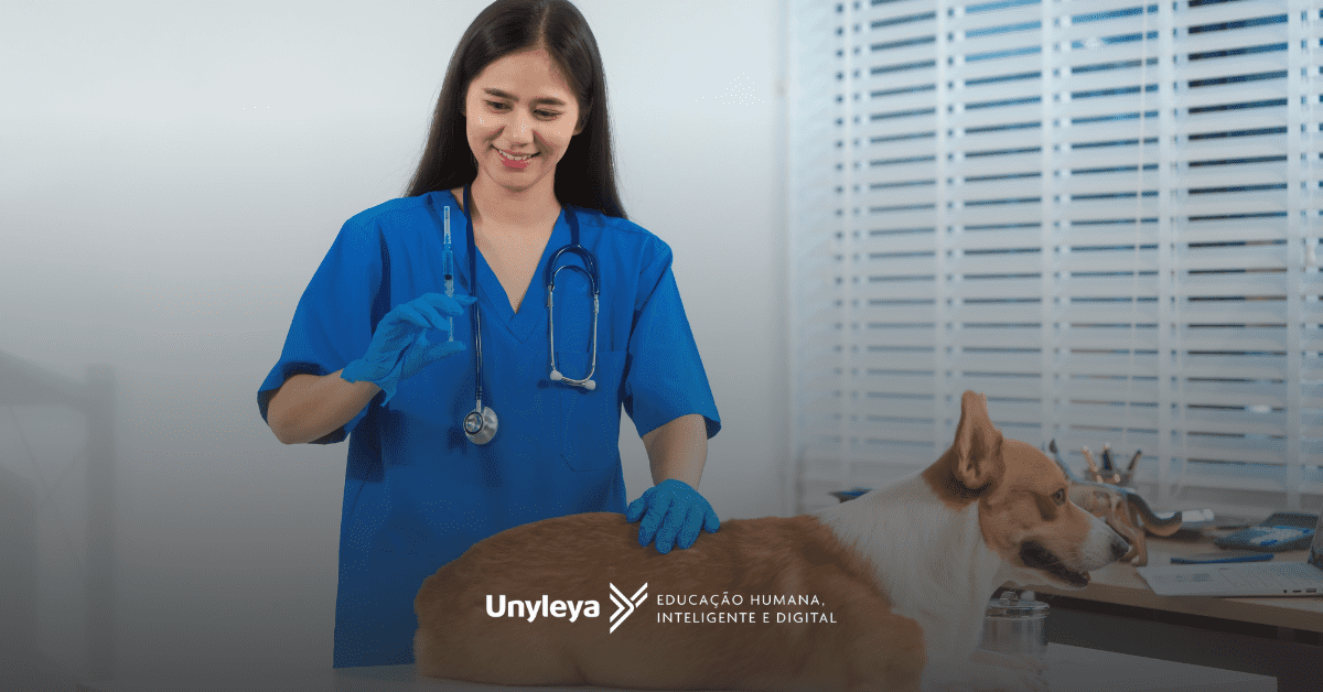 Anestesiologia veterinária: como estudar, o que é, livros e pós-graduação