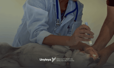 Endocrinologia Veterinária: o que é, o que faz, quanto ganha e pós-graduação