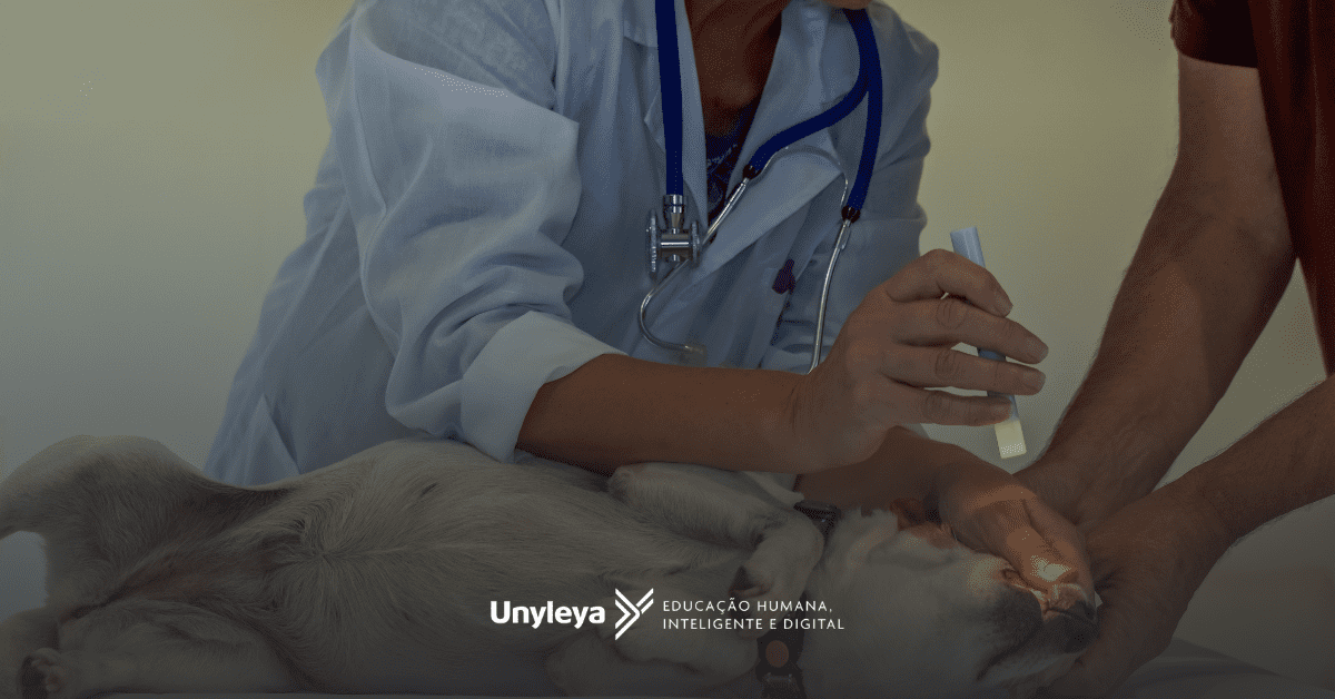Endocrinologia Veterinária: o que é, o que faz, quanto ganha e pós-graduação