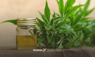 Canabidiol e maconha: qual é a diferença? Descubra aqui
