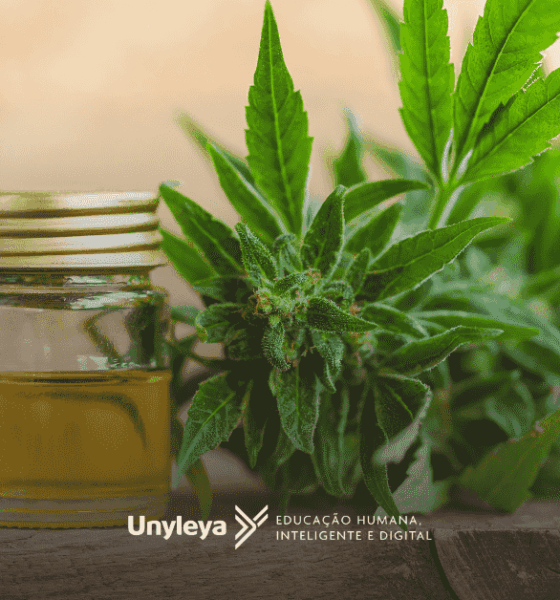 Canabidiol e maconha: qual é a diferença? Descubra aqui