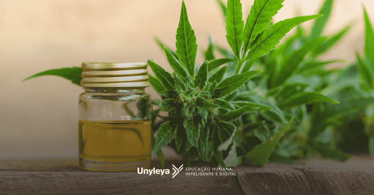 Canabidiol e maconha: qual é a diferença? Descubra aqui
