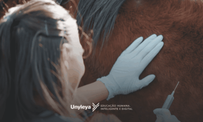 Veterinário de cavalo: quanto ganha e como se chama?