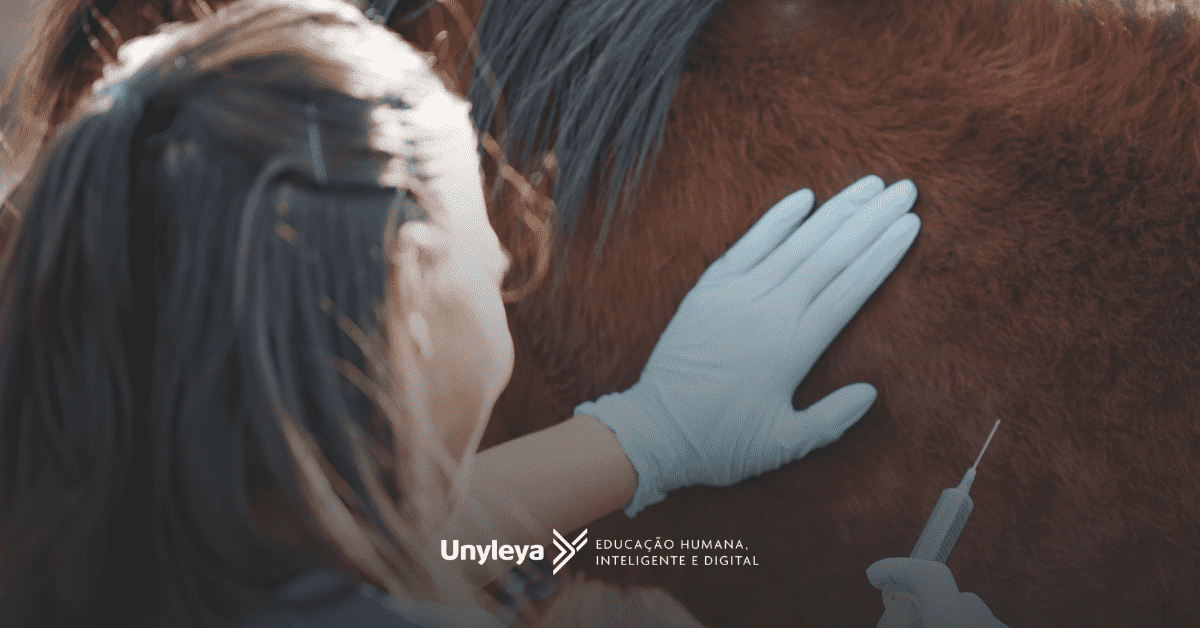 Veterinário de cavalo: quanto ganha e como se chama?