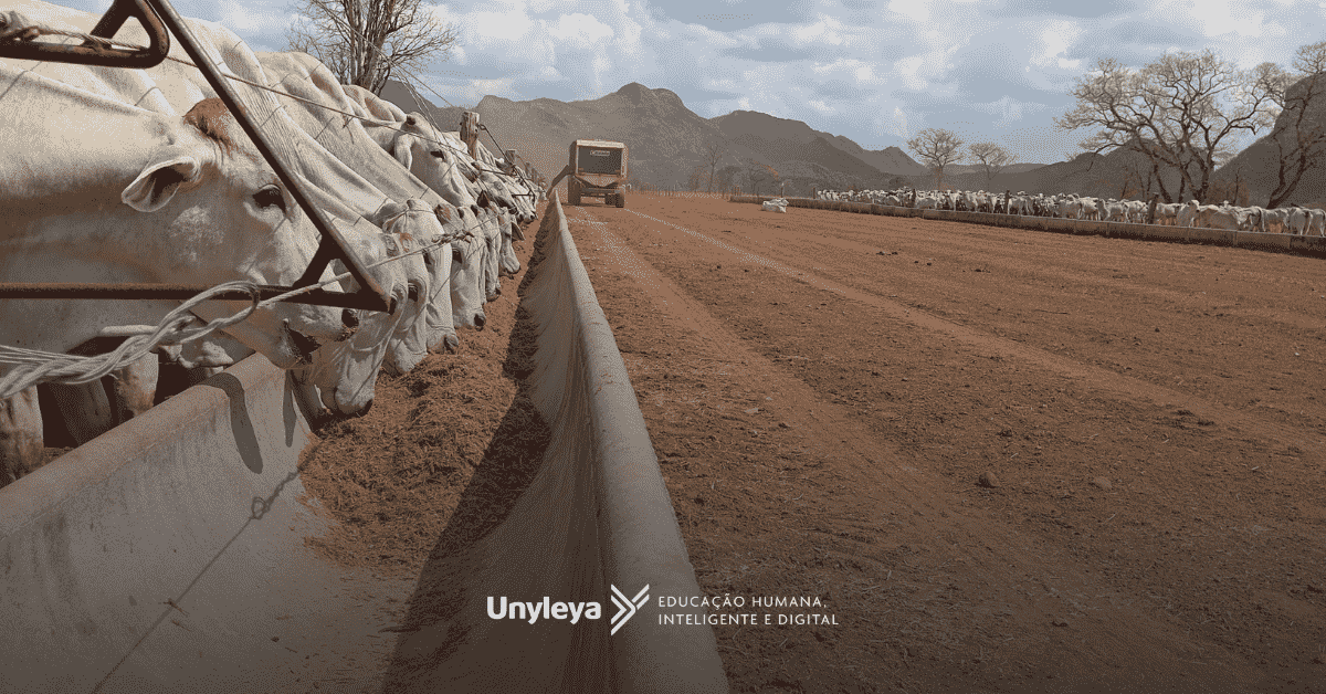Pós-graduação em zootecnia: descubra o que estuda nessa pós-graduação