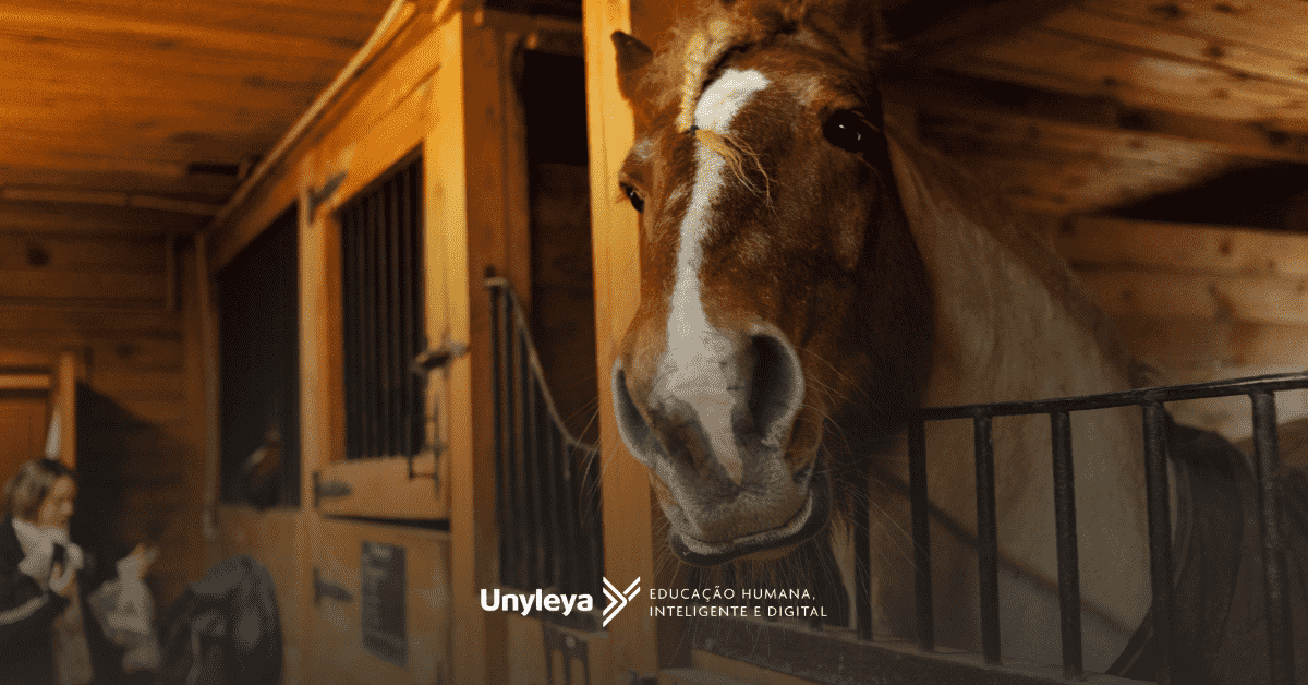 Descubra como ser um veterinário militar