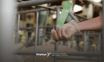 Zootecnia: tudo sobre essa área