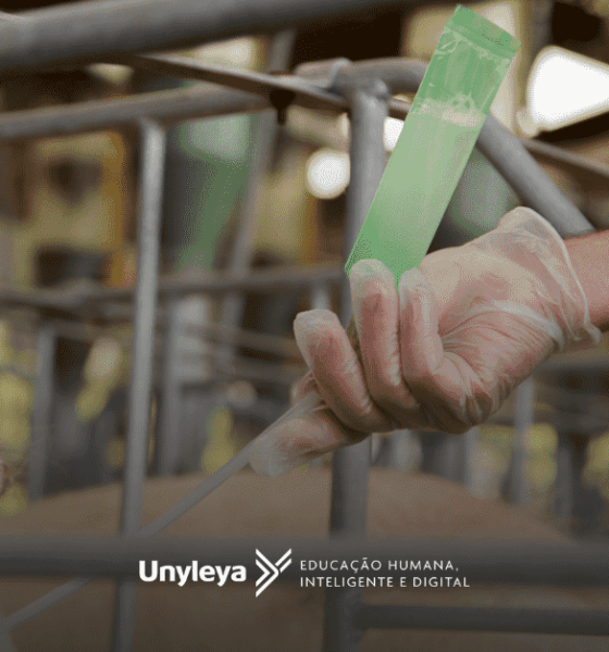 Zootecnia: tudo sobre essa área